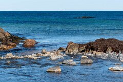 20260417-RL-DSC06375