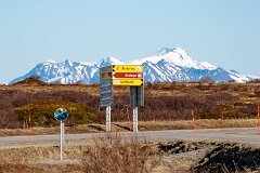 20260417-RL-DSC06408