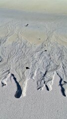 20260417-TR-IMG032-5