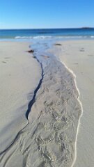 20260417-TR-IMG032-7