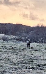 20260424-TR-IMG032-2