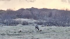 20260424-TR-IMG032-3