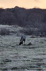 20260424-TR-IMG032-4