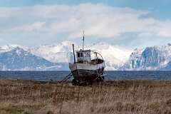 20260425-RL-DSC06712