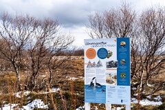 20260425-RL-DSC06721