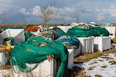 20260426-RL-DSC06768