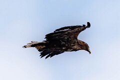 20260426-RL-DSC06819