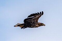 20260426-RL-DSC06820