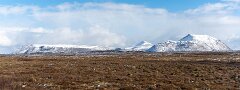 20260426-RL-DSC06850