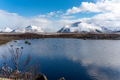 20260426-RL-DSC06854