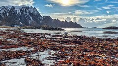 20260426-unbenannt-IMG033-10