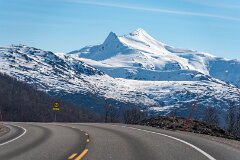 20260419-RL-DSC06532