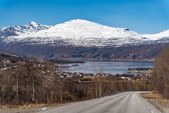 20260419-RL-DSC06575