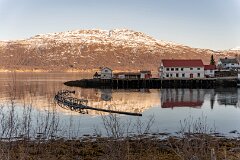 20260419-RL-DSC06601