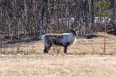 20260420-RL-DSC06654