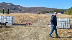 20260420-RL-IMG030-20