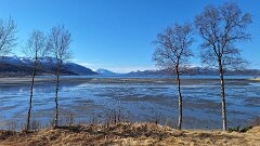 20260420-TR-IMG032-2