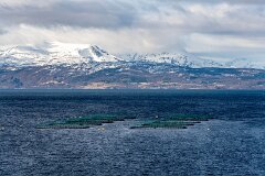 20260421-RL-DSC06671