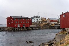 20260421-RL-DSC06682