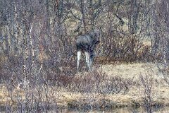 20260421-RL-DSC06694