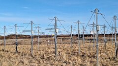 20260416-TR-IMG032-2