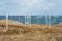 20260426-RL-DSC06754