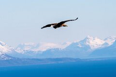 20260418-RL-DSC06455