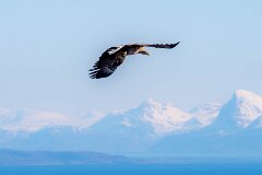20260418-RL-DSC06456