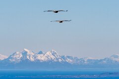 20260418-RL-DSC06459