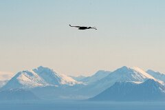 20260418-RL-DSC06474