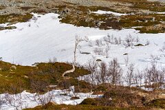 20260418-RL-DSC06509