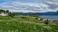 20260614-RL-IMG2258