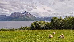20260614-RL-IMG2260