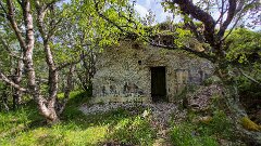 20260614-RL-IMG2271
