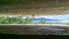 20260614-RL-IMG2274