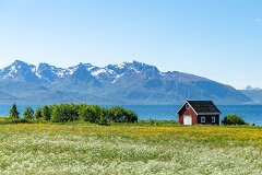 20260609-RL-DSC07471