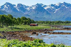 20260609-RL-DSC07474