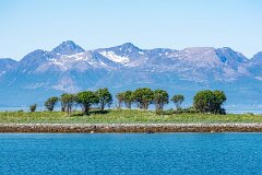 20260609-RL-DSC07535-2