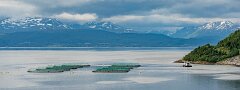 20260619-RL-DSC07708