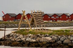 20260622-RL-DSC07717