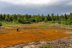 20260611-RL-DSC07556