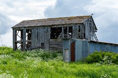 20260613-RL-DSC07567