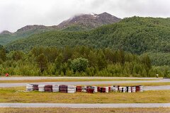 20260617-RL-DSC07631