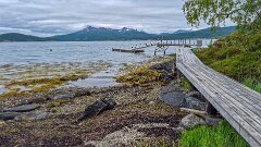20260617-RL-IMG2324