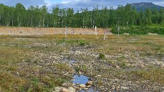 20260611-RL-IMG2205