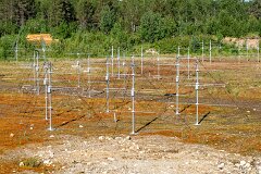 20260616-RL-DSC07616