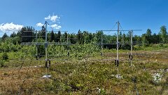 20260616-unbenannt-IMG2300