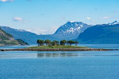 Andenes - Dyroy