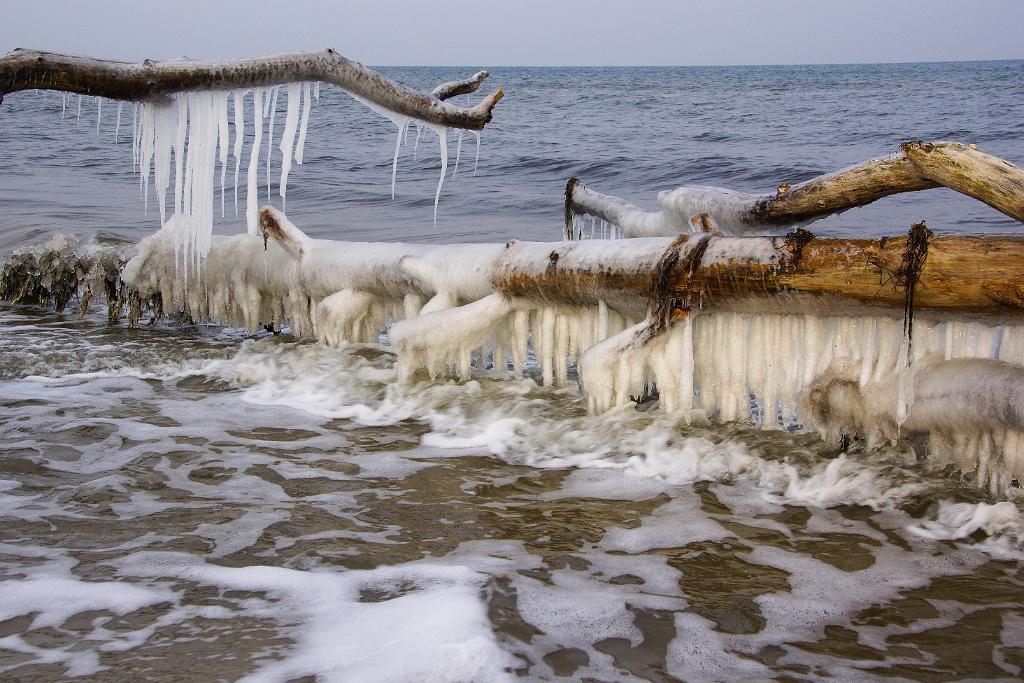 20120129-Zingst-DSC00804-RL.jpg