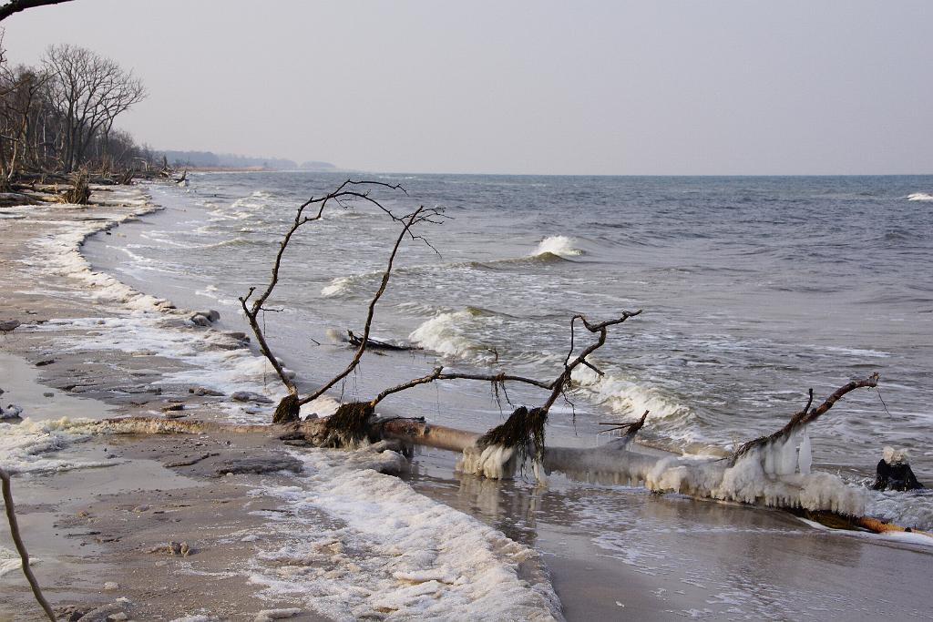 20120129-Zingst-DSC00851-RL.jpg